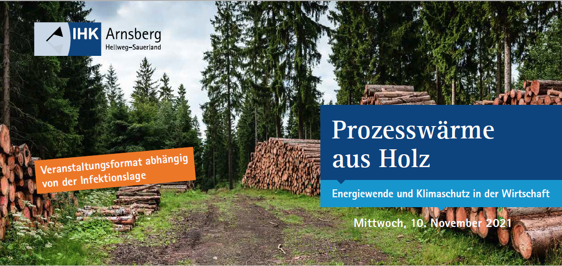 FotoNeu_Prozesswärme aus Holz FotoNeu_Prozesswärme aus Holz